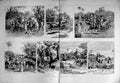 Antique Old Print 1889 Paper Chase Calcutta India Horses Roan Pony Bustee 19th