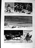Original Old Antique Print 1890 Bear Hunting Russia Count Munster Snow Sport