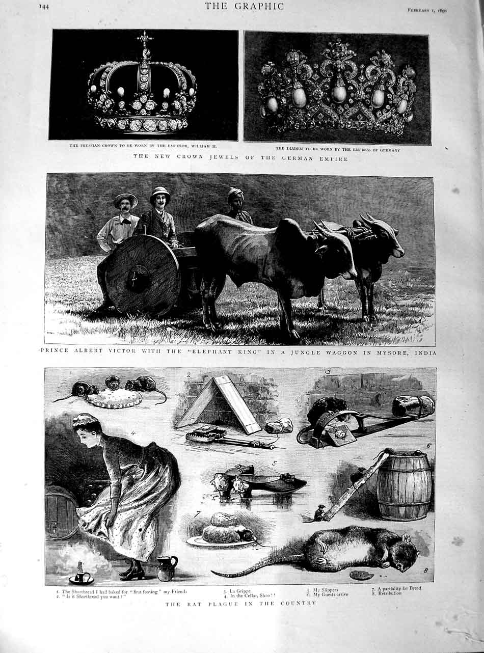 Old Antique Print 1890 Rat Plague Prince Victor Mysore India Crown Jewels 19th