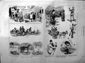 Old Antique Print 1890 Waterloo Cup Greyhound Racing Sport Flowers Nice 19th