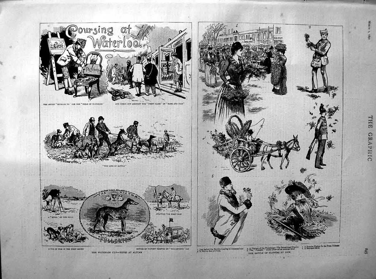 Old Antique Print 1890 Waterloo Cup Greyhound Racing Sport Flowers Nice 19th