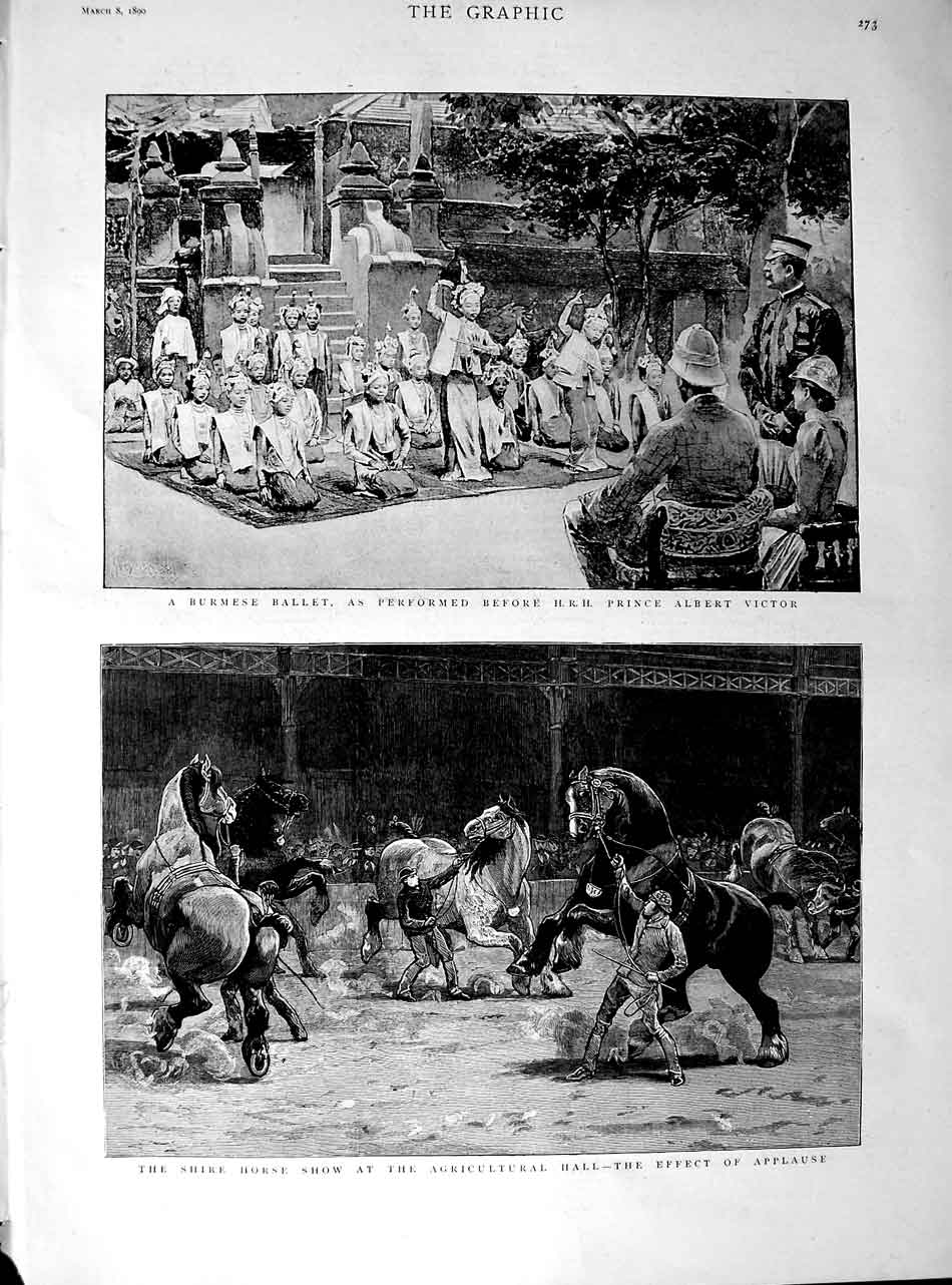 Old Antique Print 1890 Burmese Ballet Prince Victor Shire Horse Show Hall 19th
