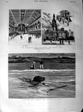 Original Old Antique Print 1890 Centennial Hall Sydney Australia Dog Sea Stick