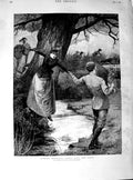Original Old Antique Print 1890 Lady Stream Hunting Beagles Romance F Victorian