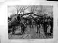Original Old Antique Print 1890 Scene Fallen Tree Ireland Horses Cart Fine Art