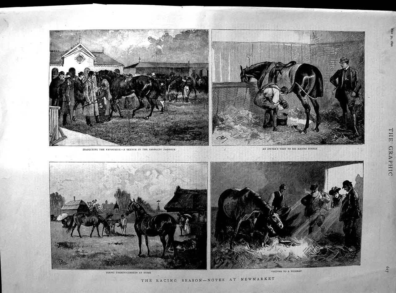 Original Old Antique Print 1890 Horse Racing Newmarket Paddock Stable Victorian