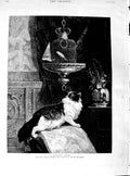 Old Antique Print 1890 Ronner Fine Art Kitten Cat Bird Cage House Scene 19th