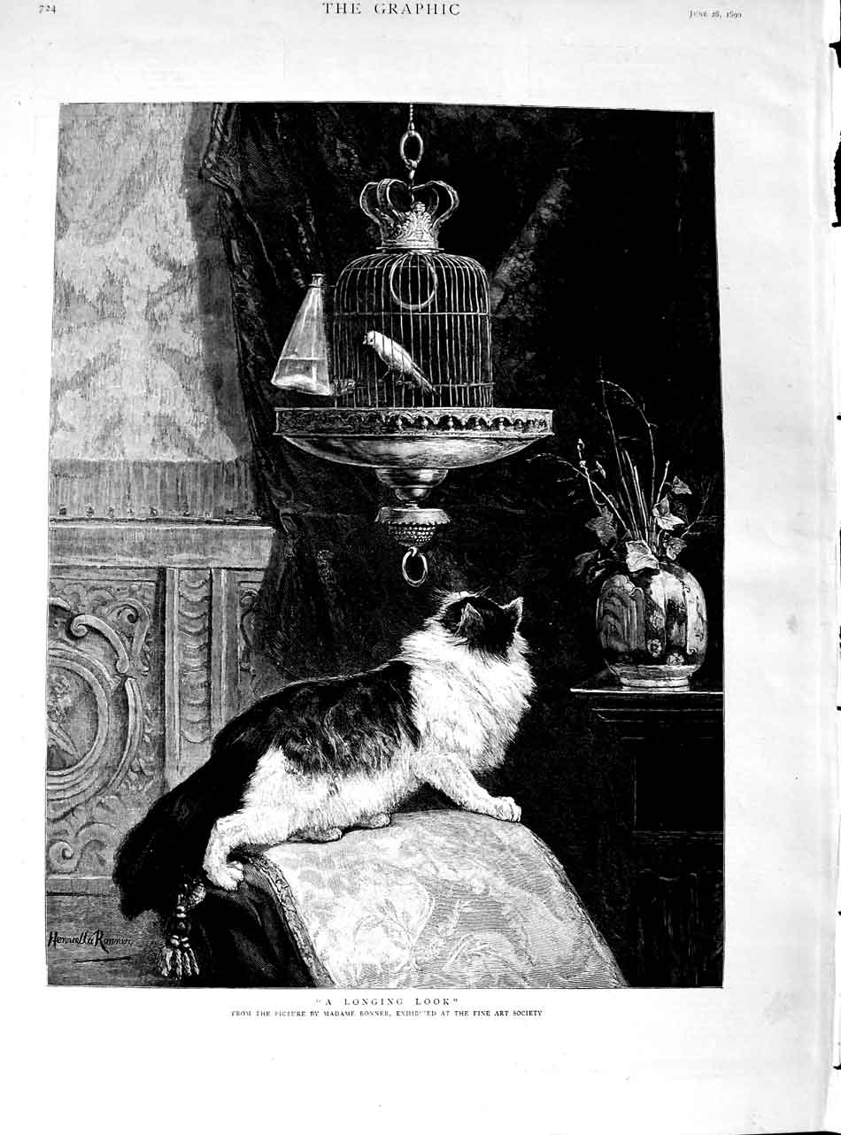 Old Antique Print 1890 Ronner Fine Art Kitten Cat Bird Cage House Scene 19th