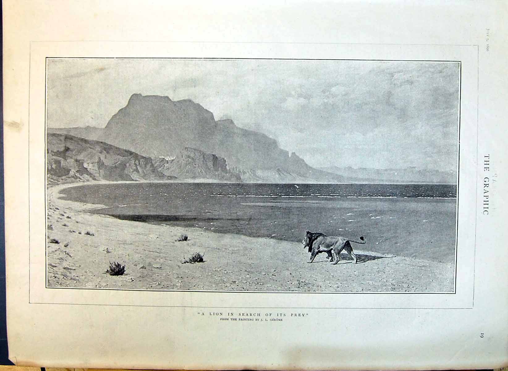 Antique Print 1890 Lion Searching Prey Beach Seaside Scene Mountains Gerome