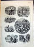 Old 1890 Cultivation Tobacco England Topping Crop Senor Rivas Palmer Victorian
