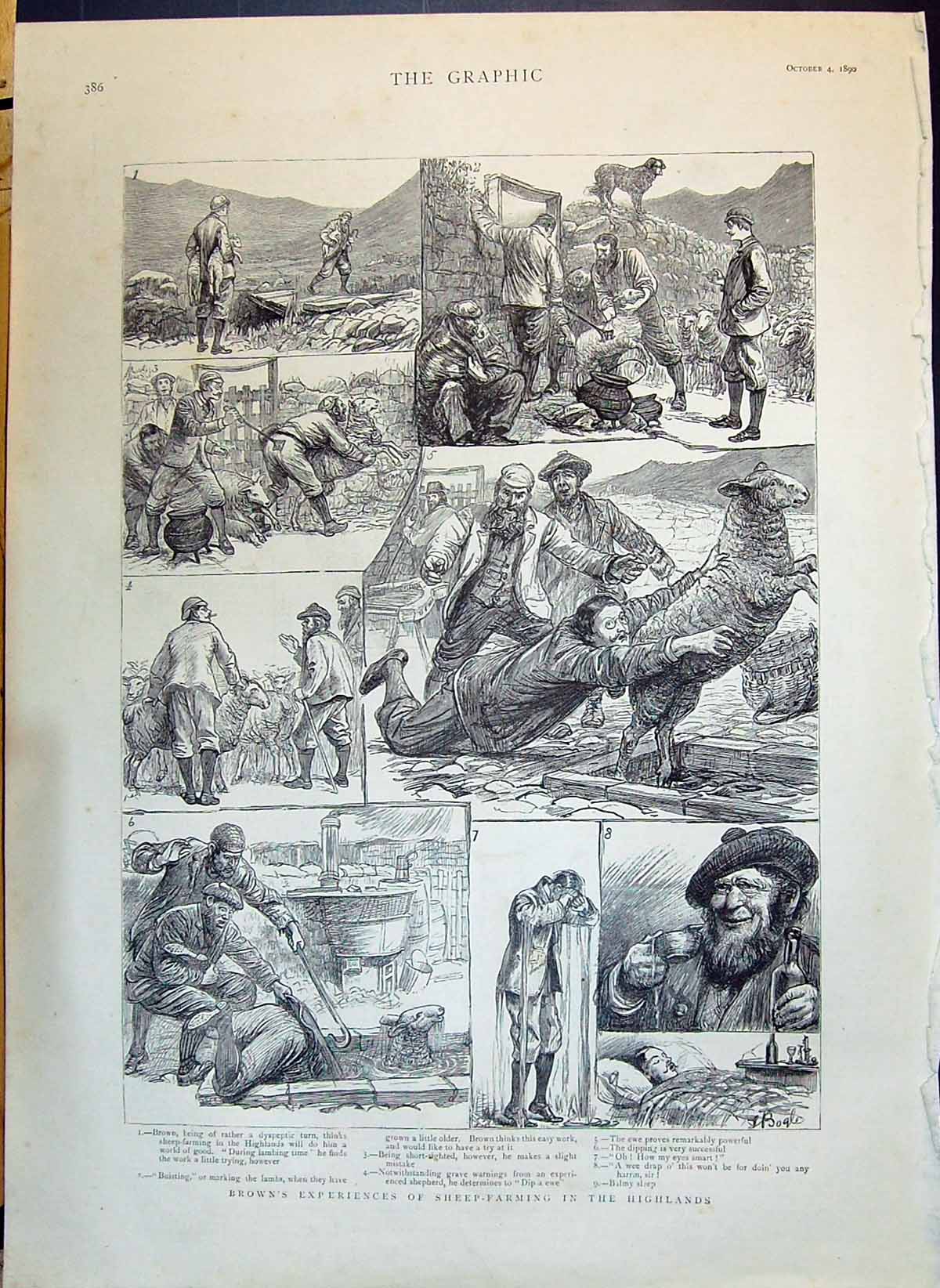 Old 1890 Mr Brown Sheep Farming Highlands Map Railway Africa Lion Cub Victorian