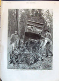 Old 1890 Travelling Under Difficulties Tasmania Horses Stuck Transpor Victorian
