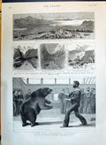 Old 1890 Isthmus Corinth Gulf Athens Canal Pet Bear Bob Boxing Ship C Victorian