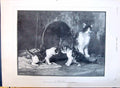Old 1890 Lambert Art Cats Kittens Champ Mars Baschet Marc Hubert Calm Victorian