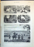 Old 1890 English Expedition Witu Africa Palace Sultan Fumo-Bakari Blu Victorian