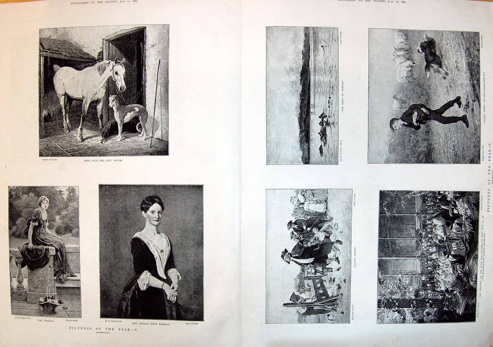Old 1890 Mrs Gerald Parnell Hack Horse Wedding Duke Duchess Fife Oliv 19th