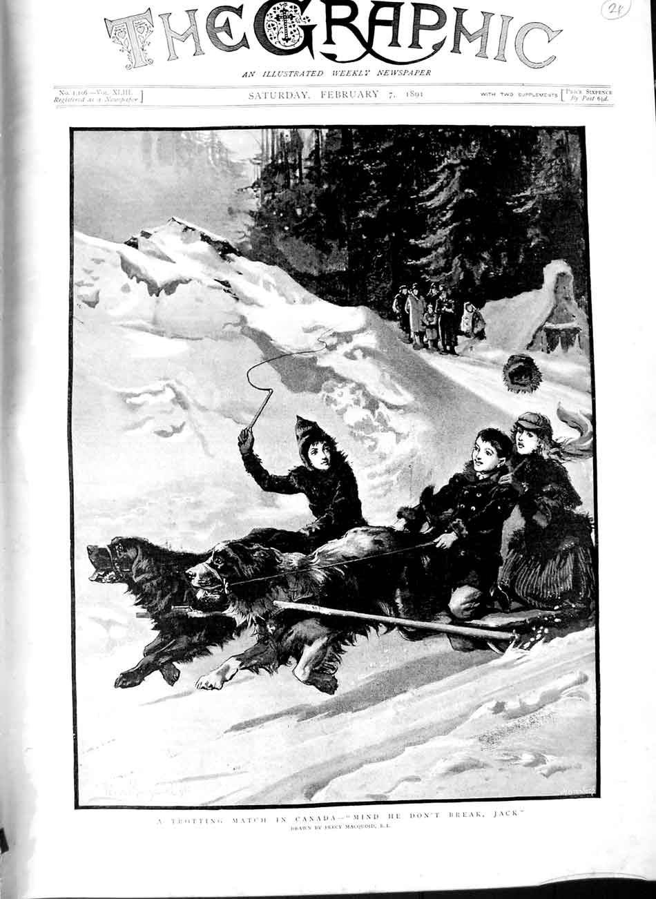 Original Old Antique Print 1891 Dogs Sledge Trotting Match Canada Macquoid Art