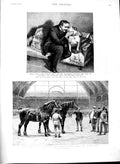 Old Antique Print 1891 Shire Horse Show Haymarket Theatre Gordon Hopkins 19th