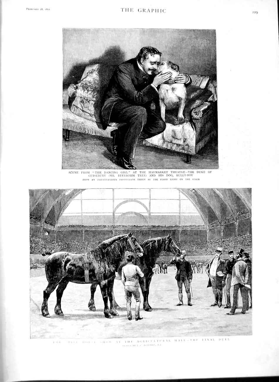 Old Antique Print 1891 Shire Horse Show Haymarket Theatre Gordon Hopkins 19th