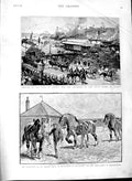 Original Old Antique Print 1891 Jersey Governor Sydney Australia Walter Gilbey