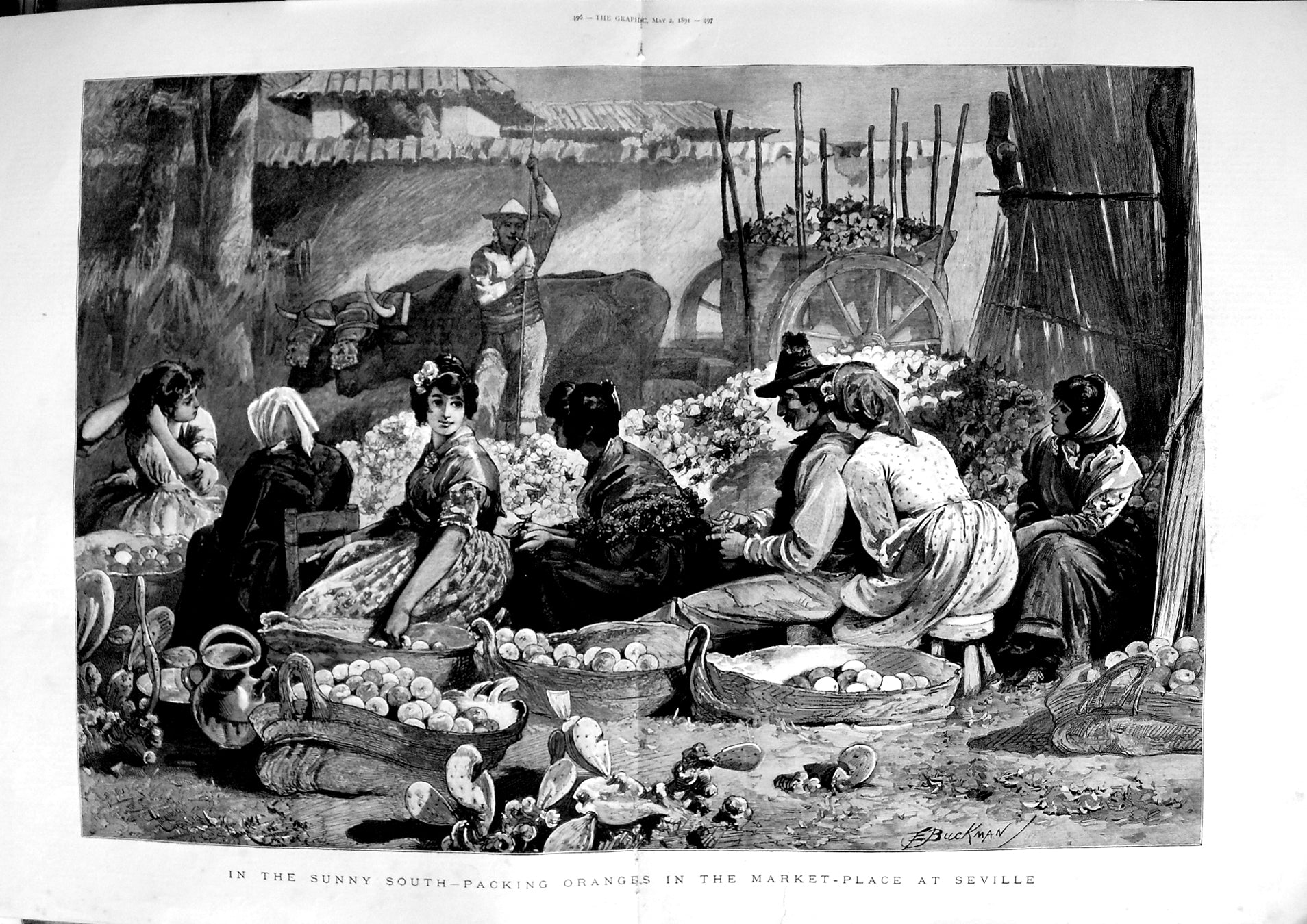 Original Old Antique Print 1891 Packing Oranges Market Place Seville Spain Art