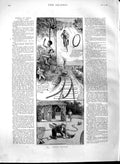 Original Old Antique Print 1891 Great Snakes Comedy Railway Native Victorian