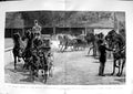 Old Antique Print 1891 Horse Show Royal Agricultural Hall Pairs Fine Art 19th