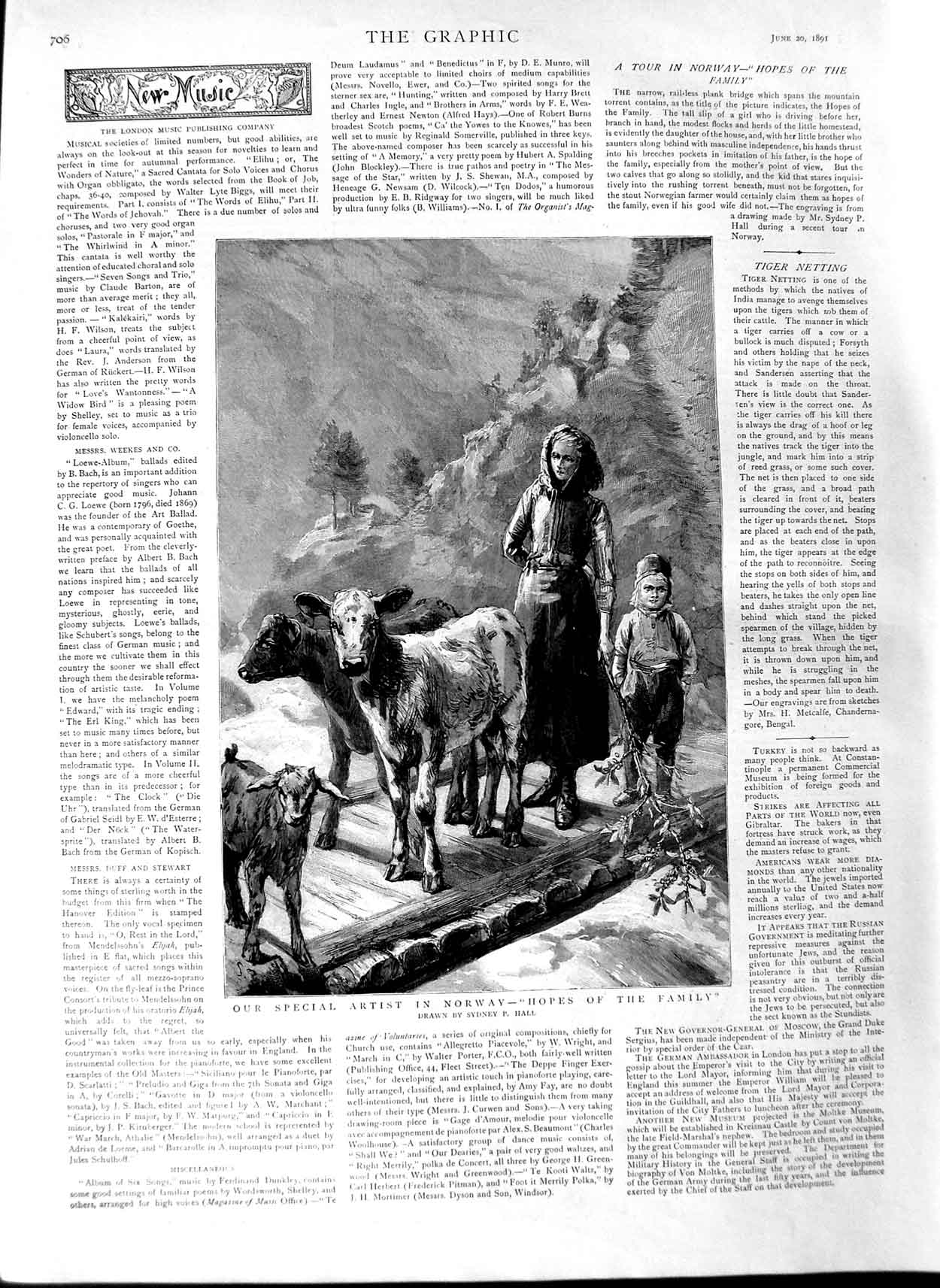 Original Old Antique Print 1891 Scene Norway Family Goats Calf 19th