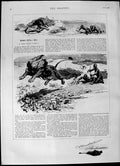 Original Old Antique Print 1892 Bushmen Killing Lion Hunting Wild Animals 19th