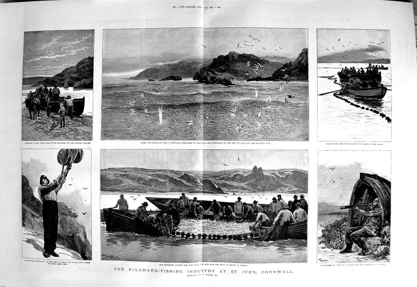 Old Antique Print 1892 Pilchard Fishing Industry St. Ives Cornwall Nets 19th