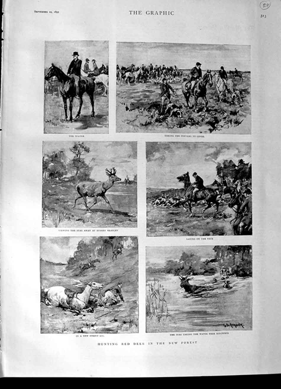 Old Antique Print 1892 Hunting Red Deer New Forest Bushey Bradley Sport 19th
