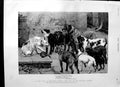 Old Antique Print 1892 Scene La Fontaine'S Fables Dogs Dinner Food Fisher 19th