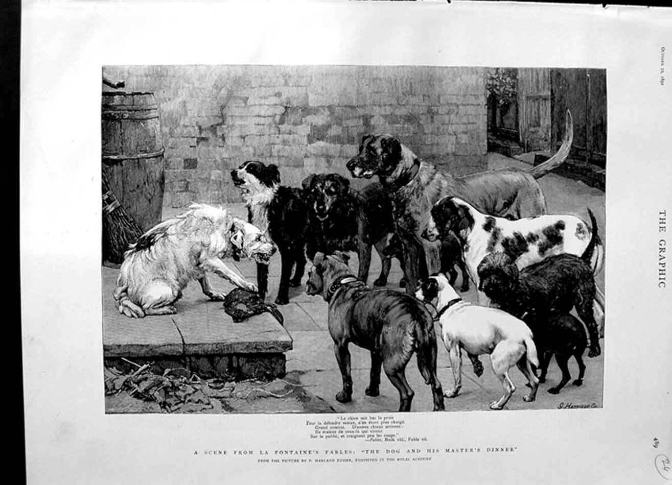 Old Antique Print 1892 Scene La Fontaine'S Fables Dogs Dinner Food Fisher 19th