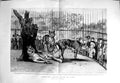 Old Antique Print 1892 Tigers Zoological Gardens Wild Animals Fine Art 19th