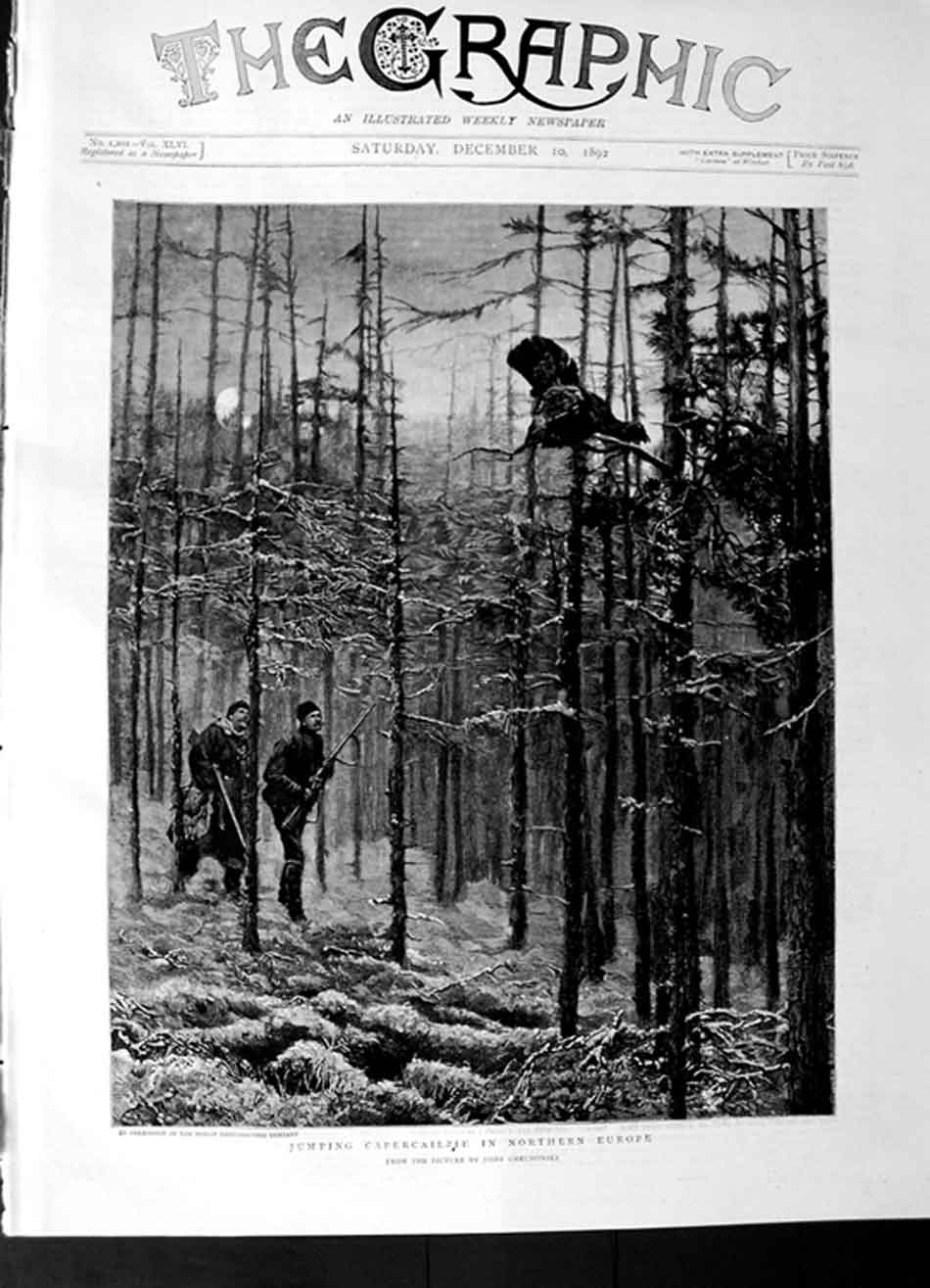 Old Antique Print 1892 Men Hunting Jumping Capercailzie Northern Europe 19th