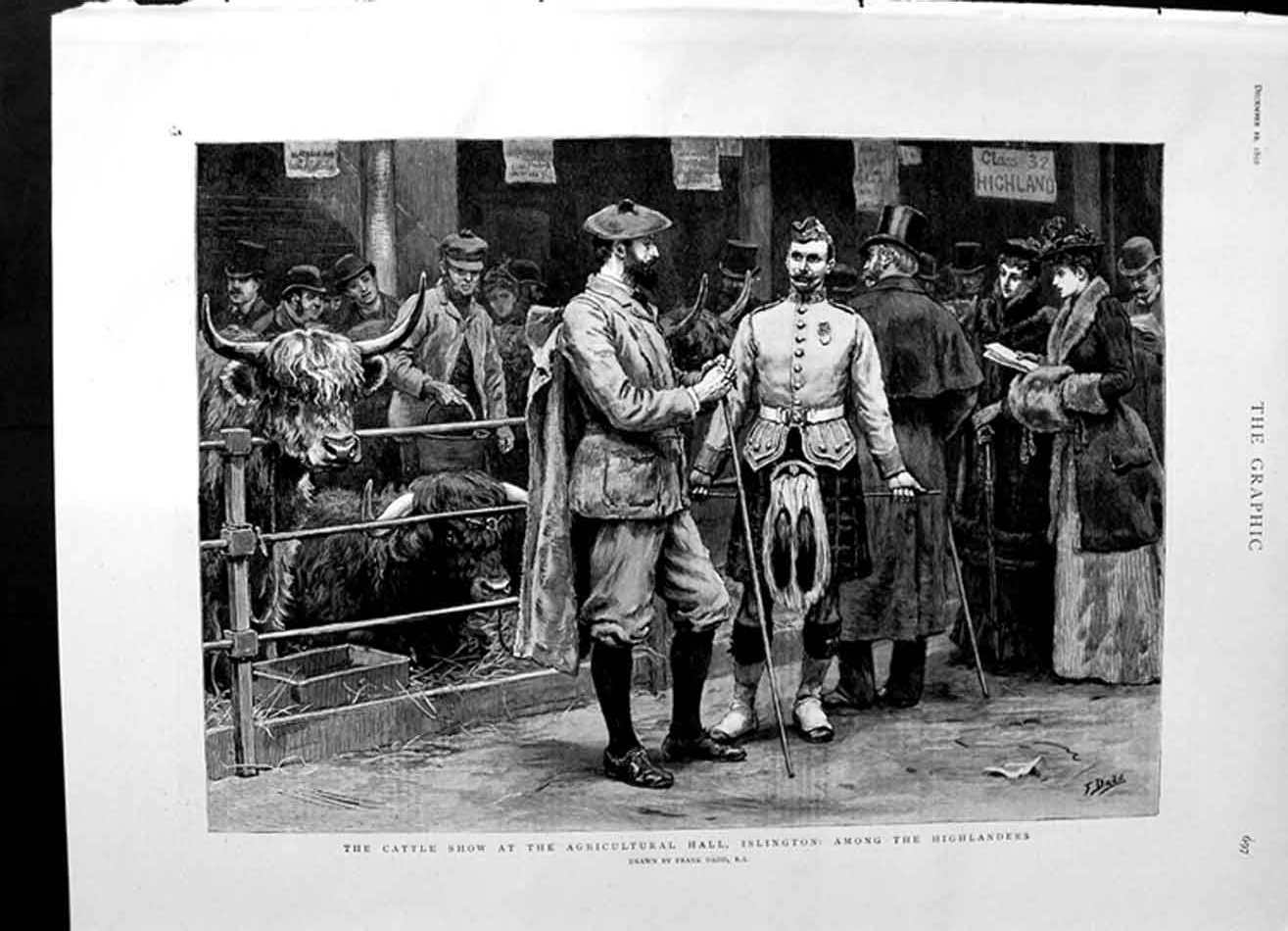 Old Antique Print 1892 Highland Cattle Show Agricultural Hall Islington 19th