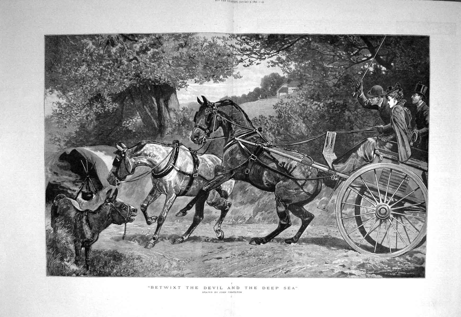 Original Old Antique Print 1892 John Charlton Horses Carriage Donkey Ca 19th