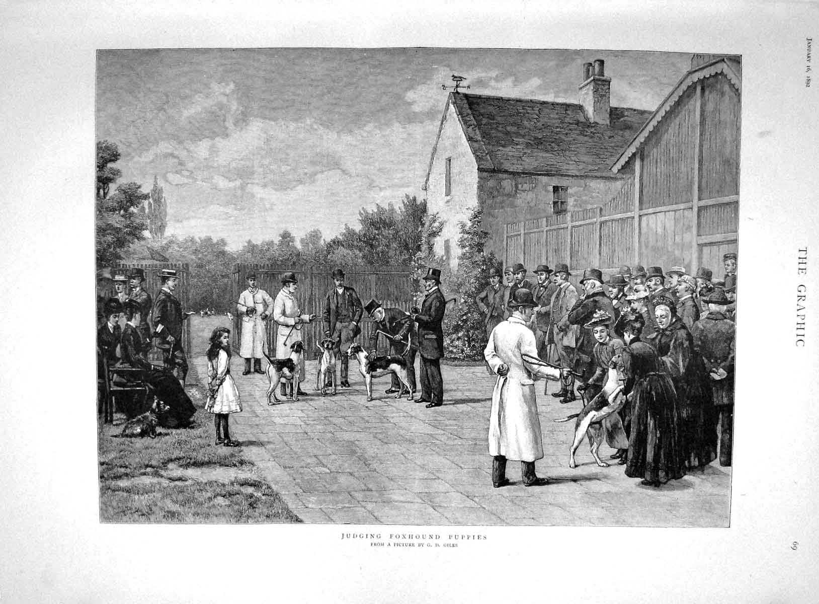 Original Old Antique Print 1892 Giles Fine Art Judging Foxhound Puppies Dogs