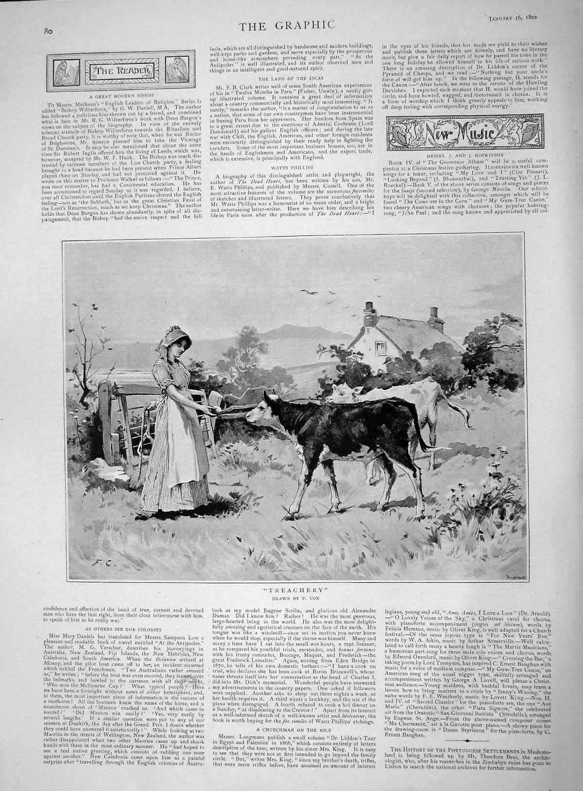 Original Old Antique Print 1892 Treachery Cox Young Girl Calf Farm Field 19th