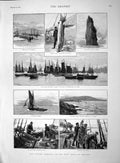 Original Old Antique Print 1892 Fishing Ireland Mackerel Valencia Moher Shark