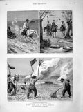 Original Old Antique Print 1892 South America Locust Uruguay Gaucho Palmeira
