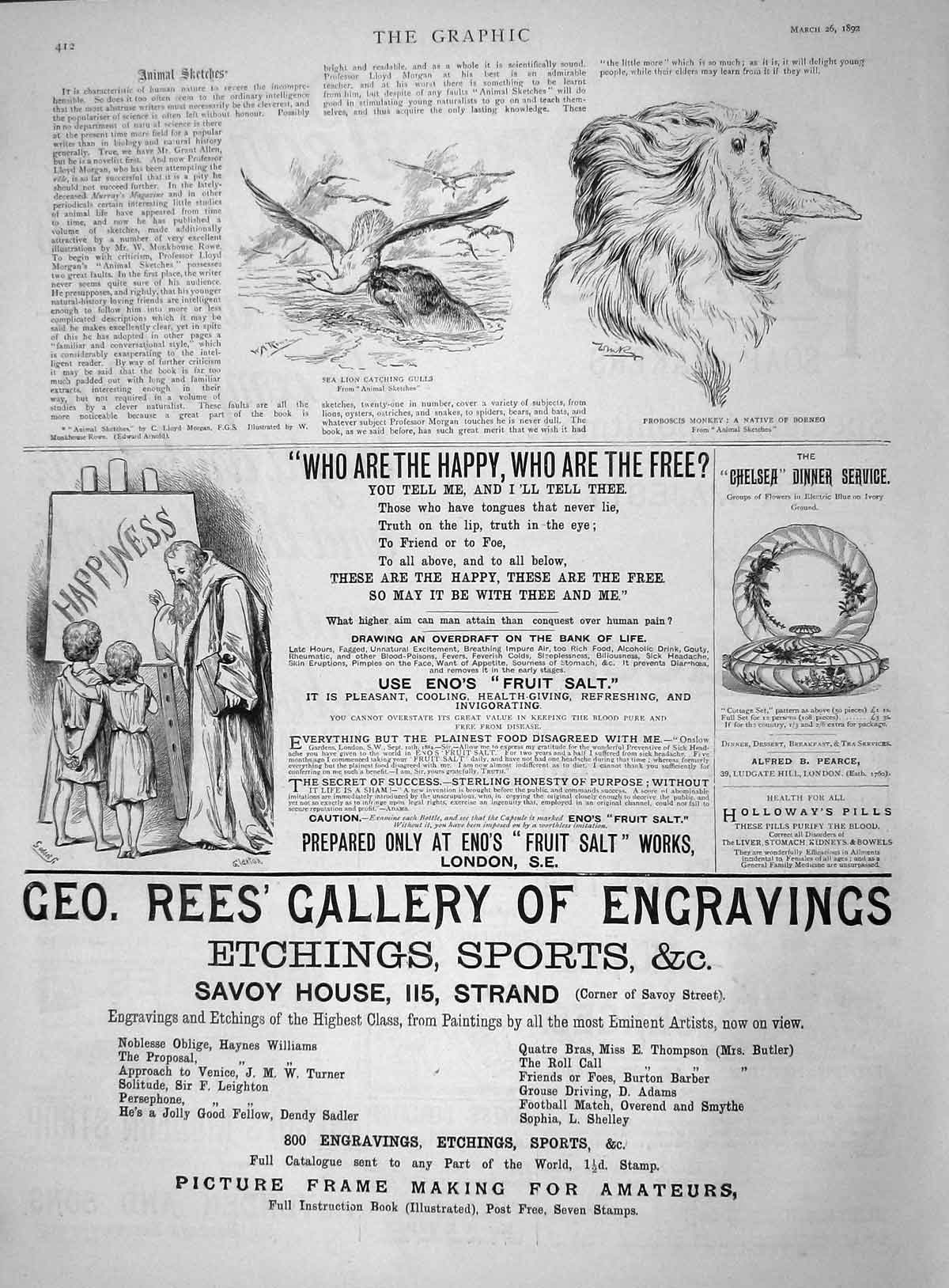 Old Antique Print 1892 Rees Gallery Engraving Eno'S Fruit Salt Monkey Sea 19th