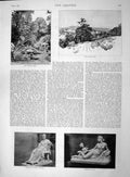 Old Antique Print 1892 Napoleon'S Mother Statue Tenerani Venus Tree Park 19th