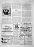 Original Old Antique Print 1892 White Harris Soudan Binoculars Yellowstone Park