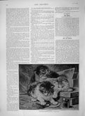 Original Old Antique Print 1892 Goupil Gallery Art Kittens Playing Never Tired
