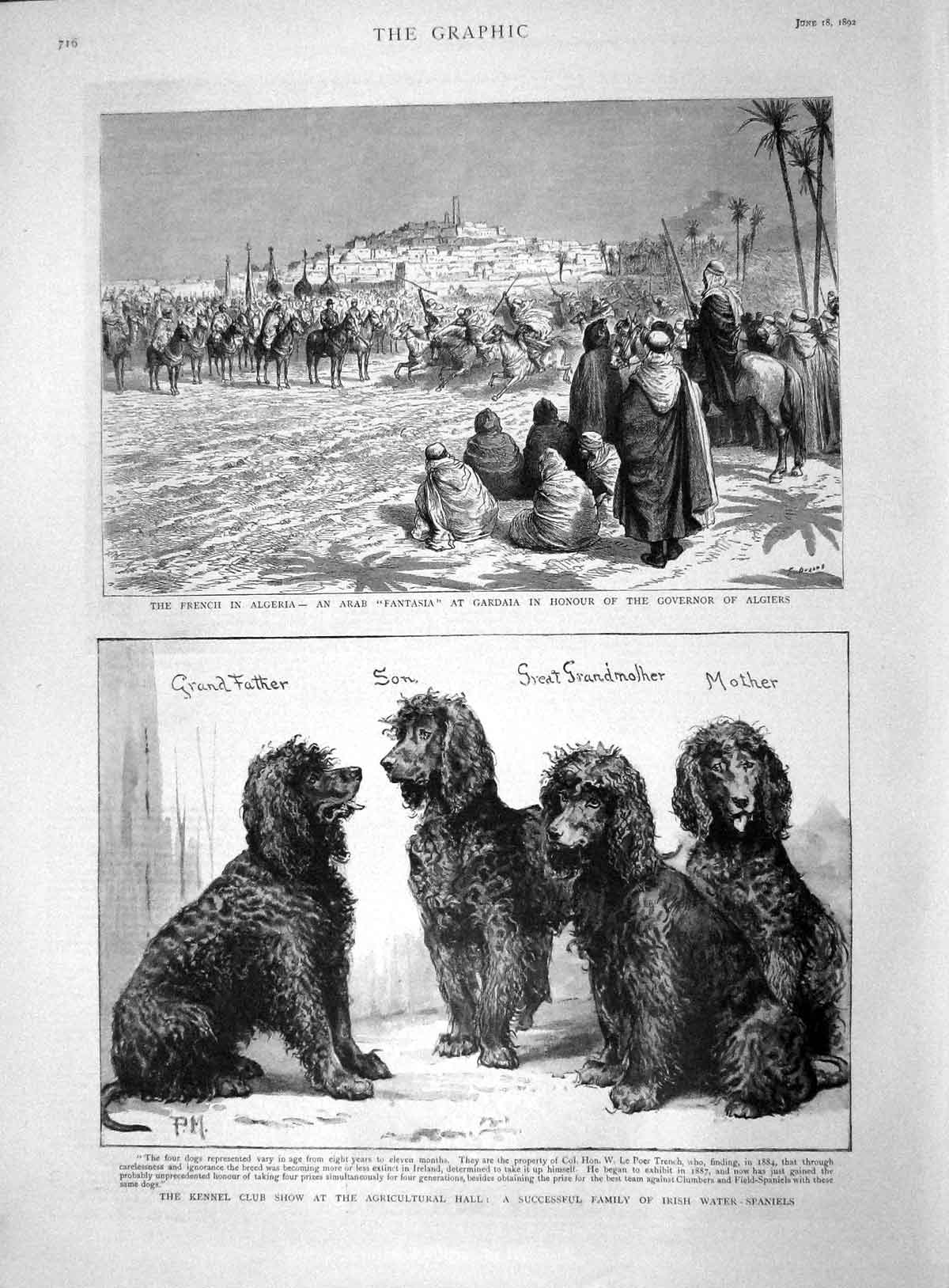 Original Old Antique Print 1892 Algeria Arab Fantasia Kennel Club Show Stairs