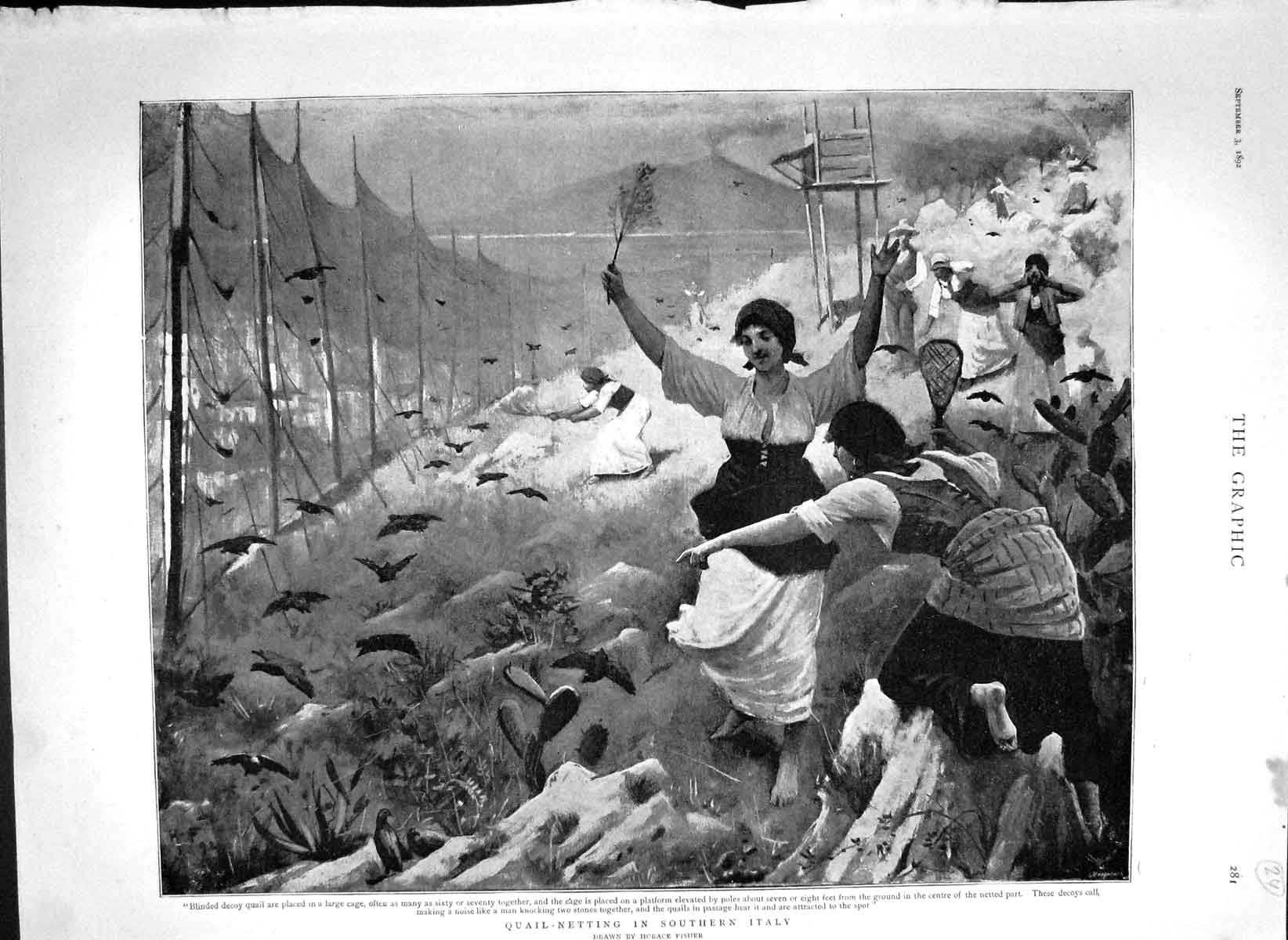 Original Old Antique Print 1892 Quail Netting Southern Italy Hunting Horace 19th