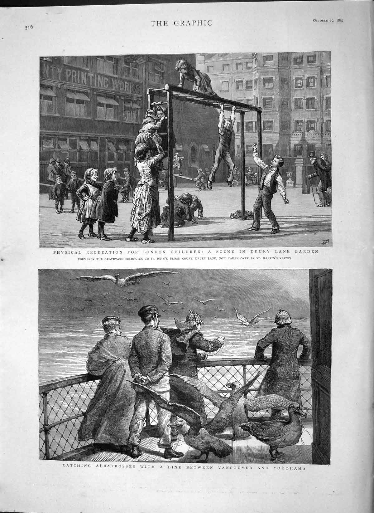 Old Antique Print 1892 Catching Albatrosses Canada Drury London Children 19th