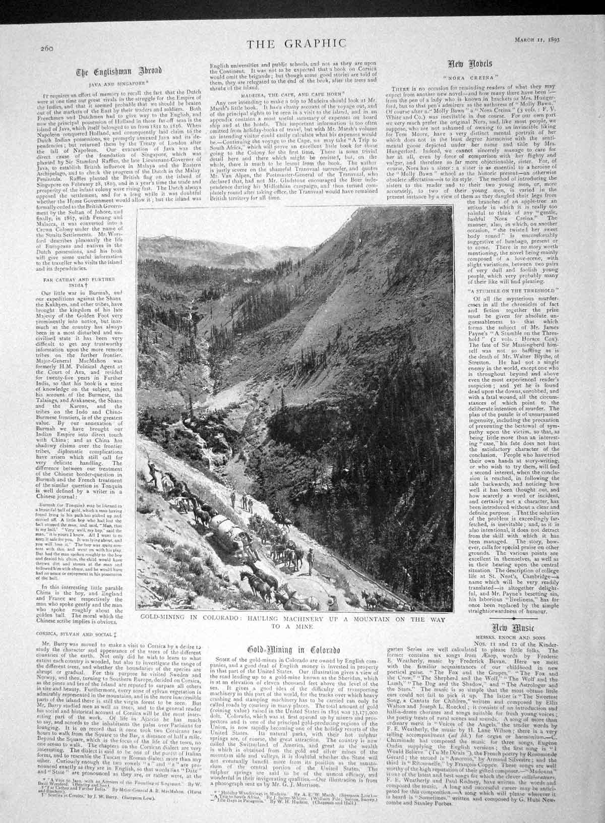 Original Old Antique Print 1893 GMining Colorado Mountain Jamison New York 19th