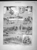 Original Old Antique Print 1893 Modus Operandi Indian Burglar Goat Comedy Tale